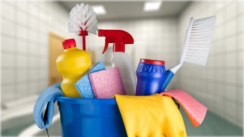 Local carpet cleaning service improving a living room floor