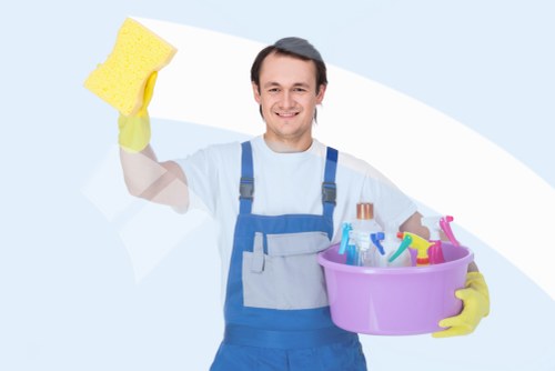 Professional pet stain odour removal in a West Heath living room